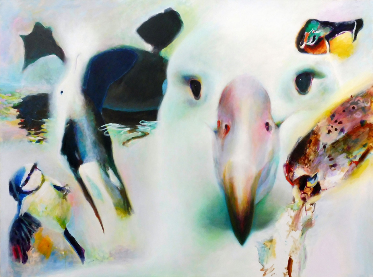 Christian Uhl  &#8211;  uhl-kunst, Vogelbild 5 &#8211; Albatrosse, Enten, Meise, Falke uhl-kunst