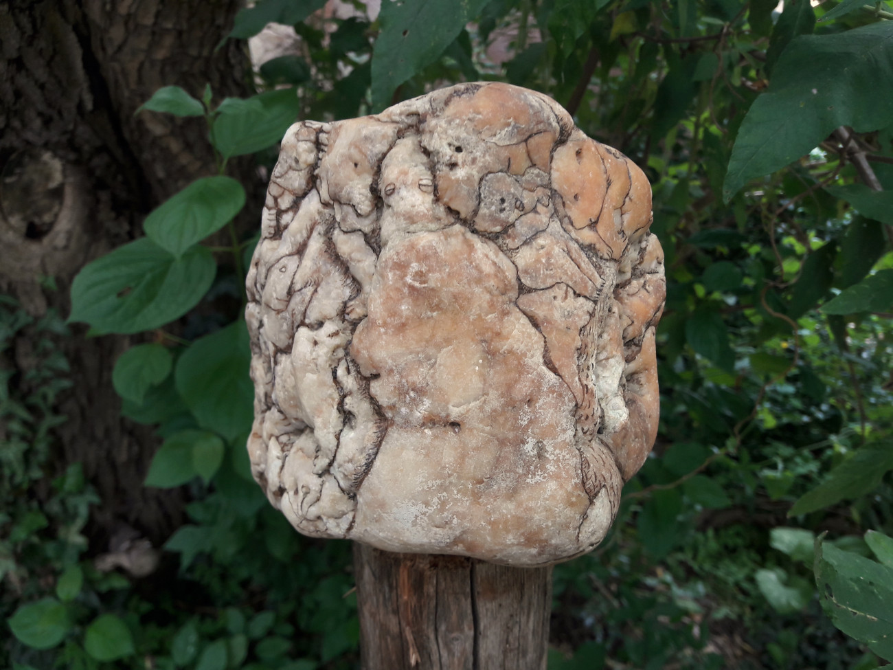 Silke Kruse, Was Steine erzählen &#8211; ein Dialog