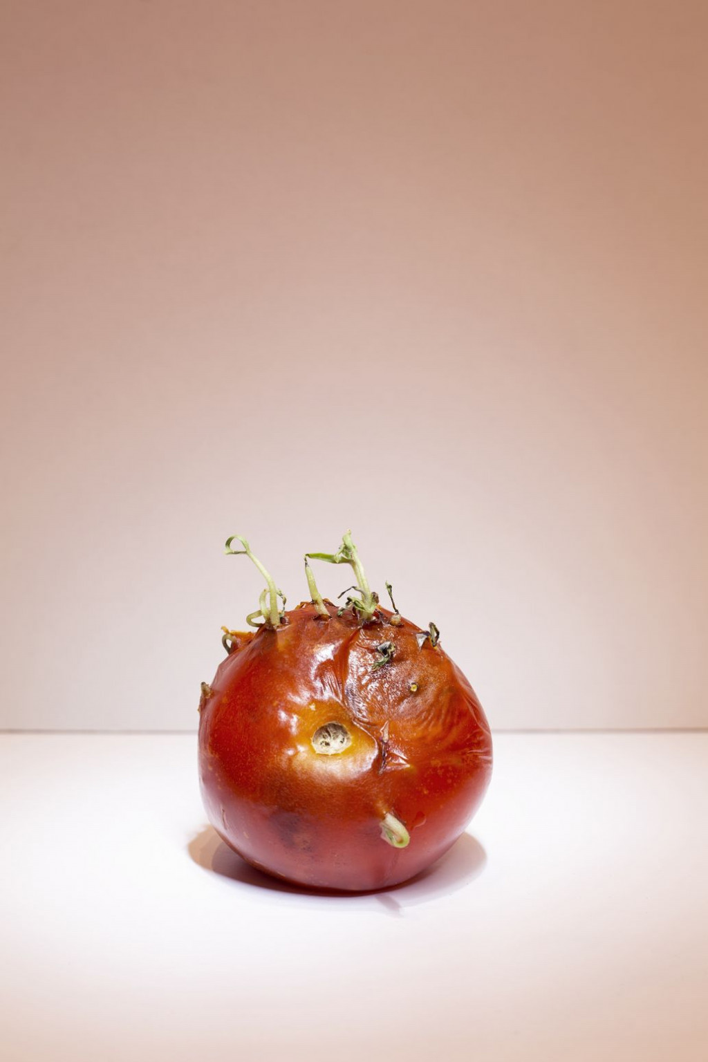 Ausstellung: Forever Young, Ausstellung: Forever Young Laura De Luca