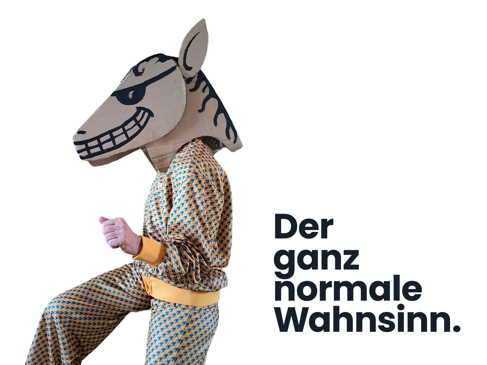 Der ganz normale Wahnsinn, Der ganz normale Wahnsinn