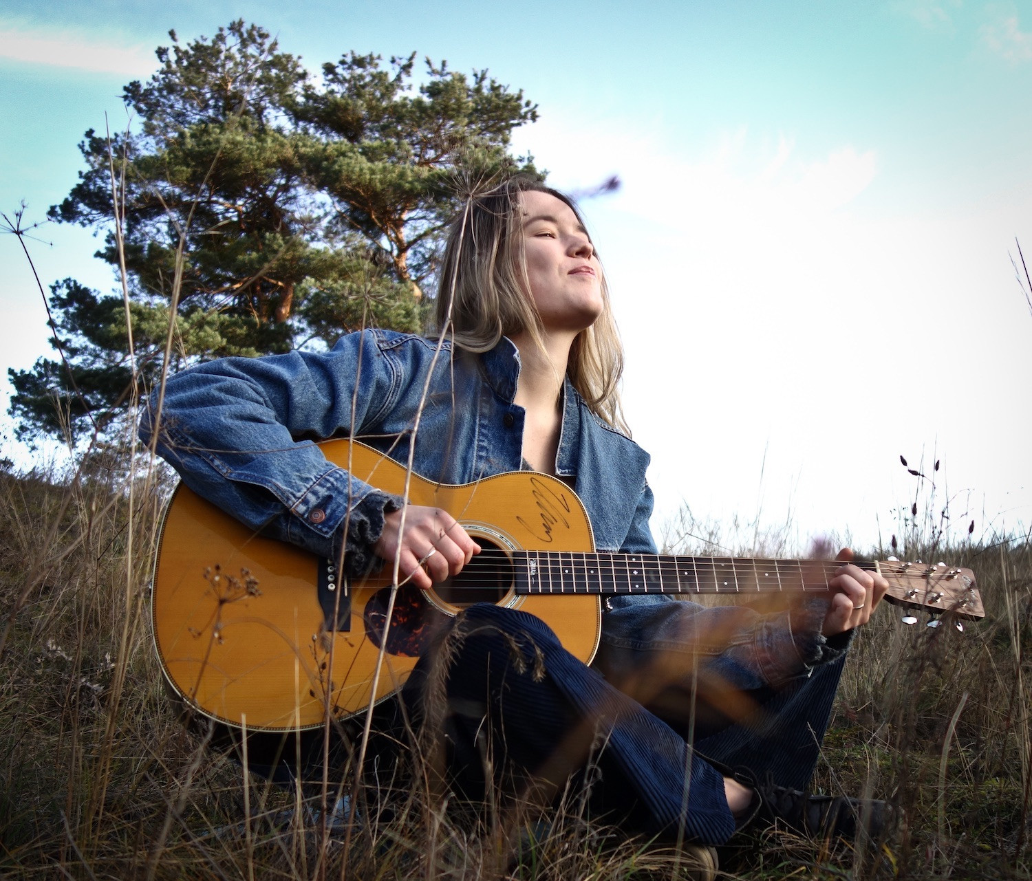 Jazz-Sommer, Jazz-Sommer