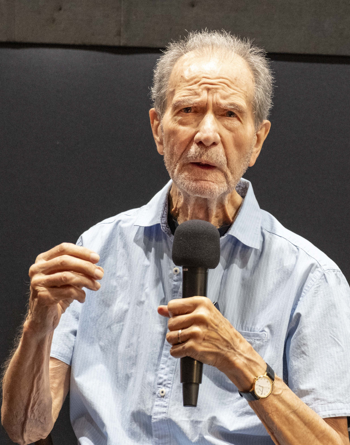 Heimat Europa Filmfestspiele, Heimat Europa Filmfestspiele