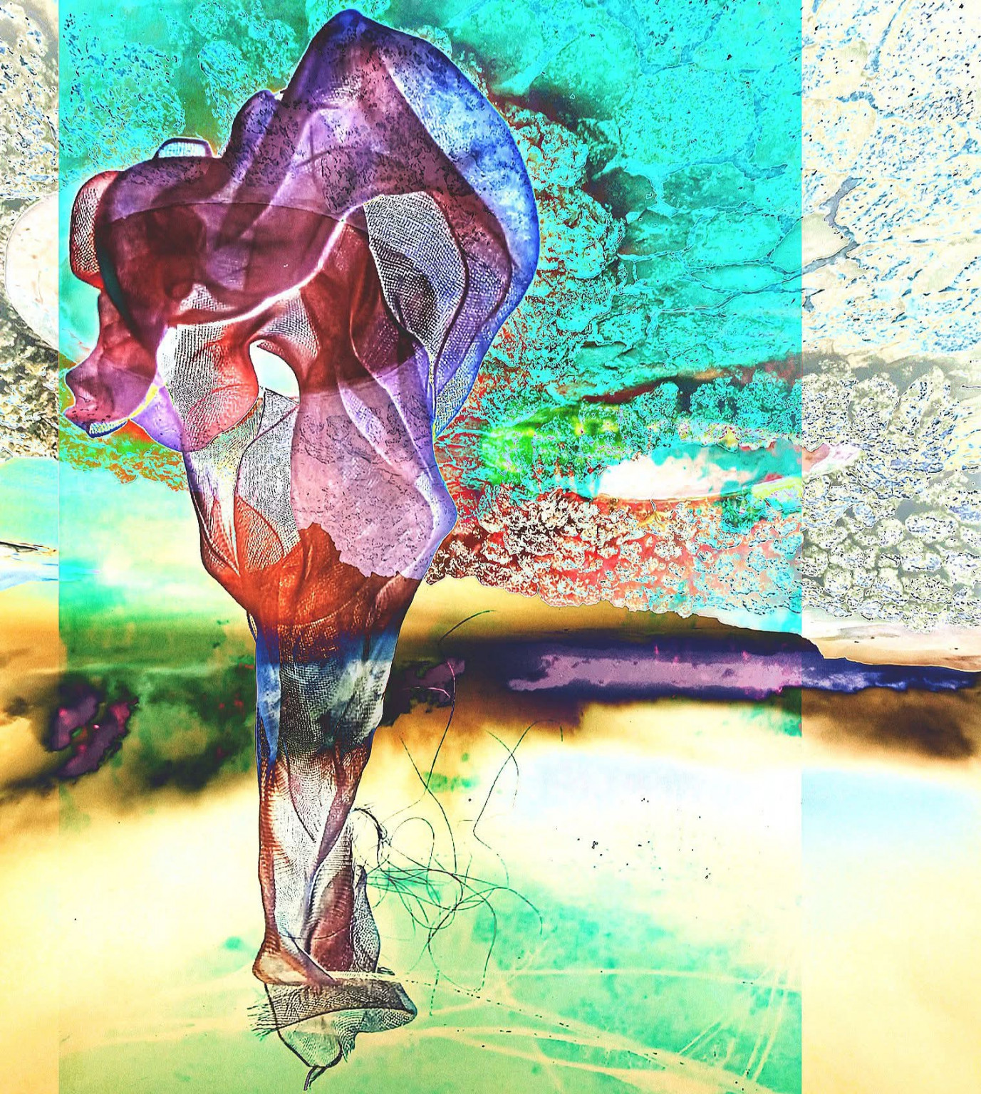 DRAGONFLY, DRAGONFLY