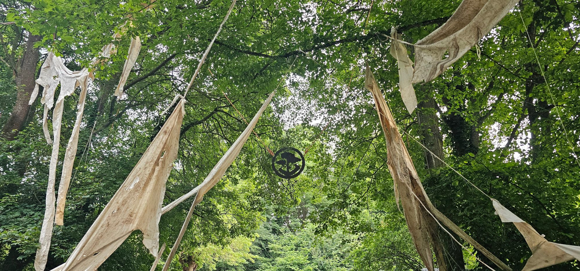 Forestival, Forestival