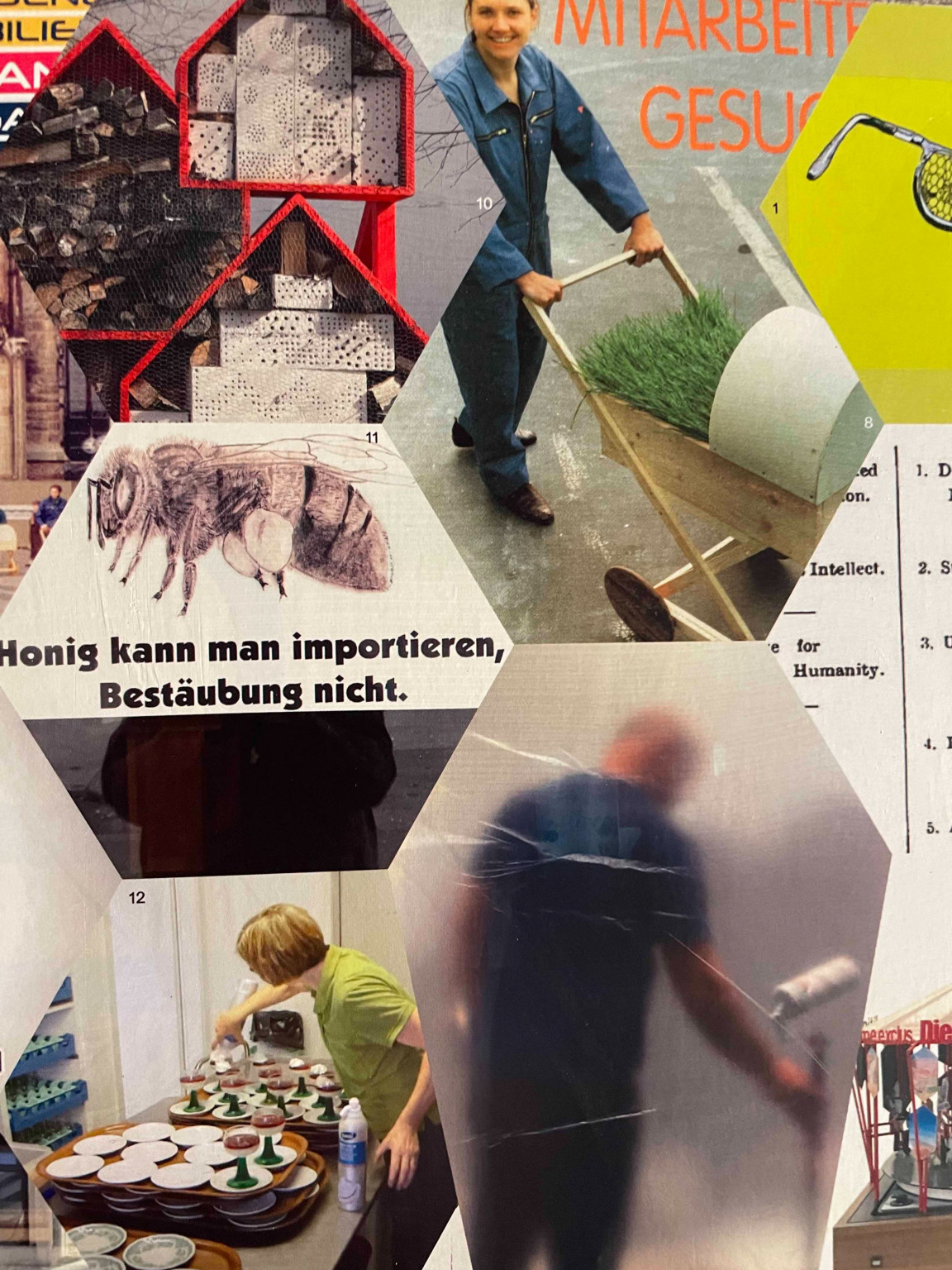 Frauke Gerhard SOLO, Frauke Gerhard SOLO