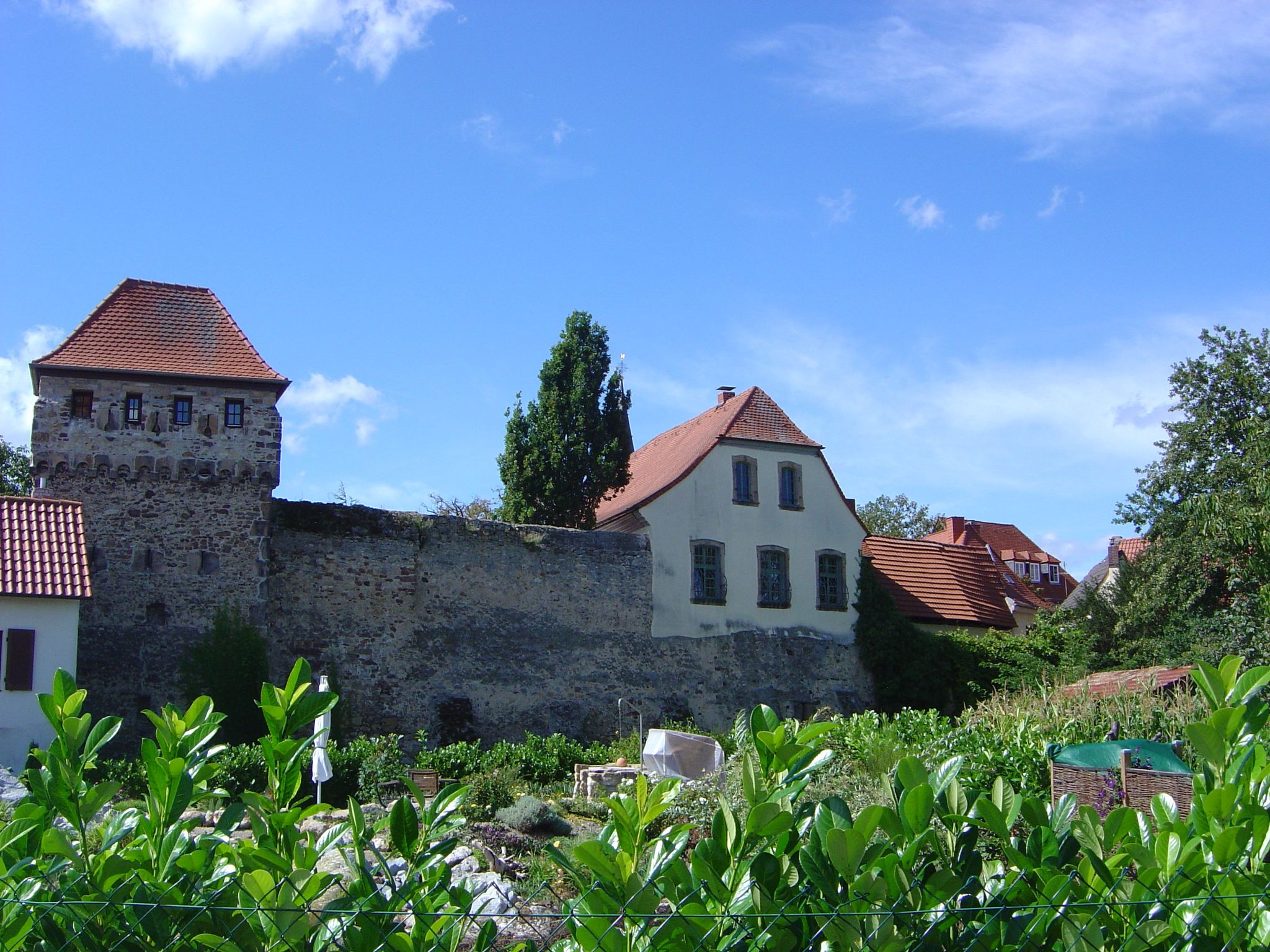 Literarische Lese Freinsheim, Literarische Lese Freinsheim