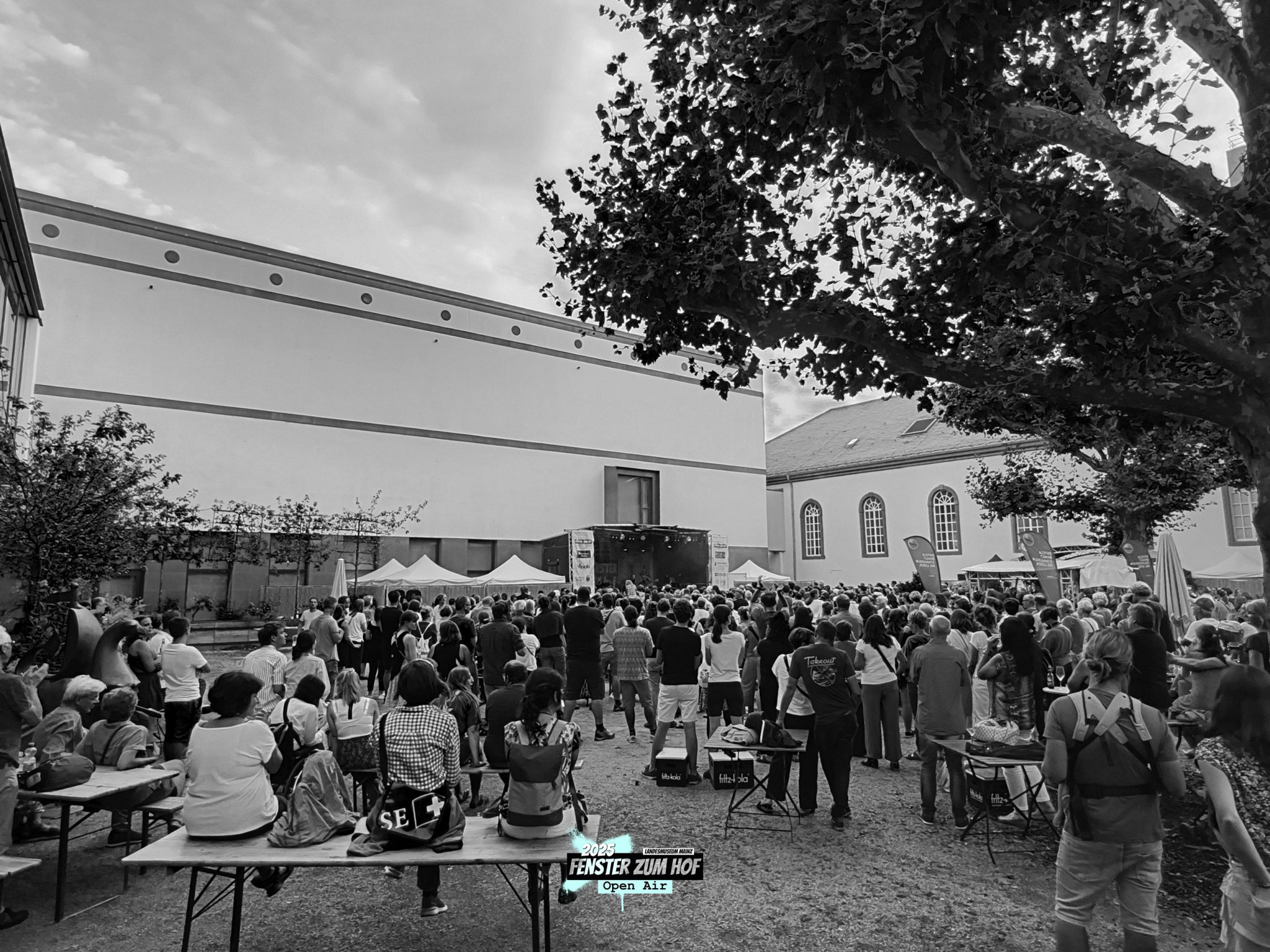 Fenster zum Hof-Open Air 2025, Fenster zum Hof-Open Air 2025
