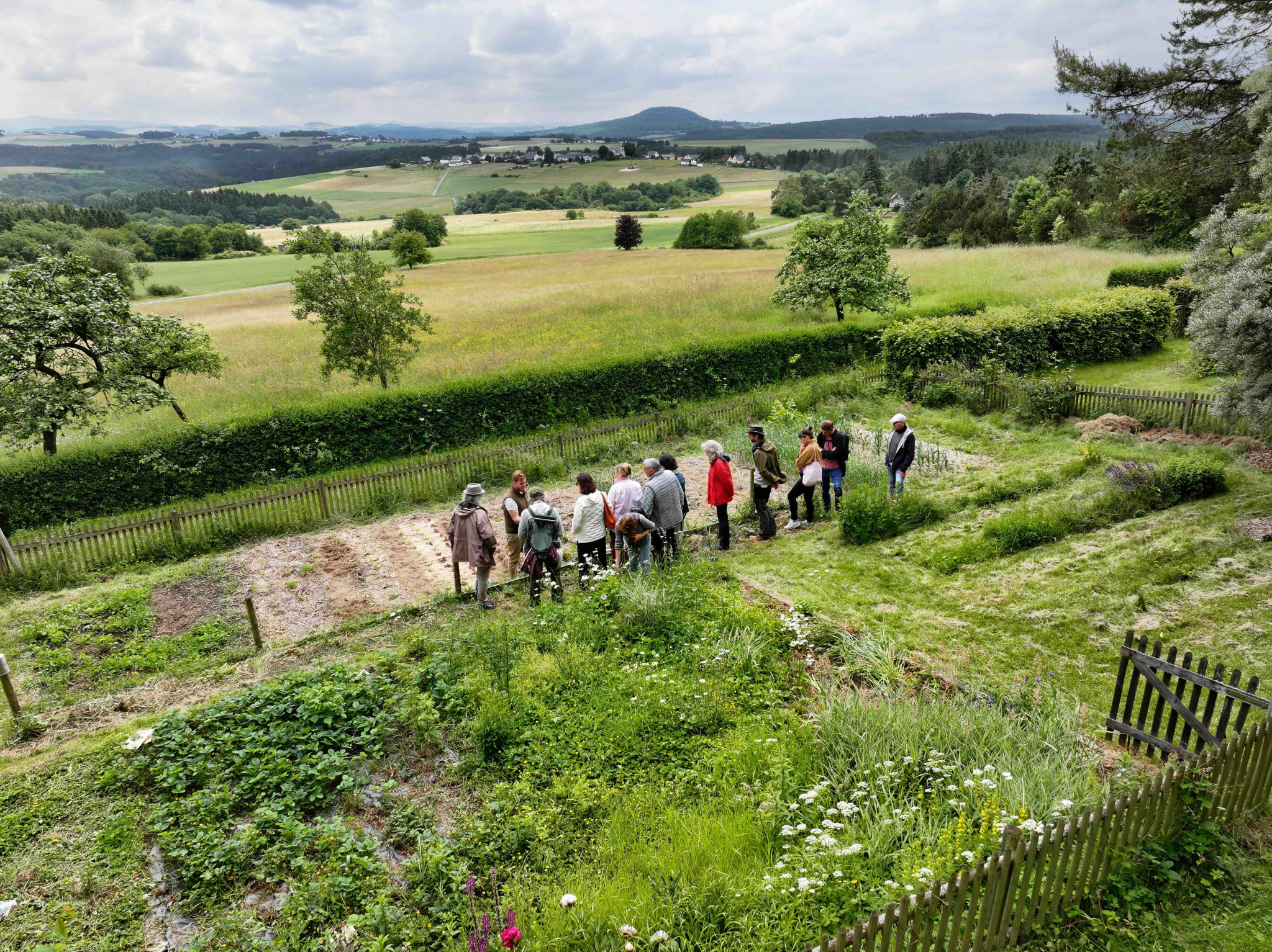 DAS AHRTAL ERBLÜHT, DAS AHRTAL ERBLÜHT default