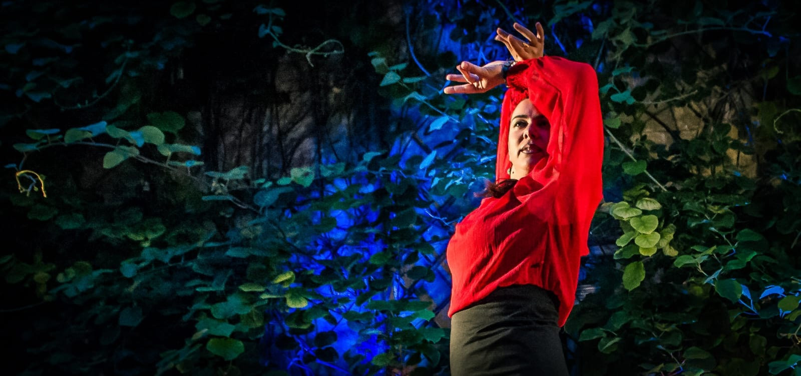 Flamenco trifft Klassik, Flamenco trifft Klassik