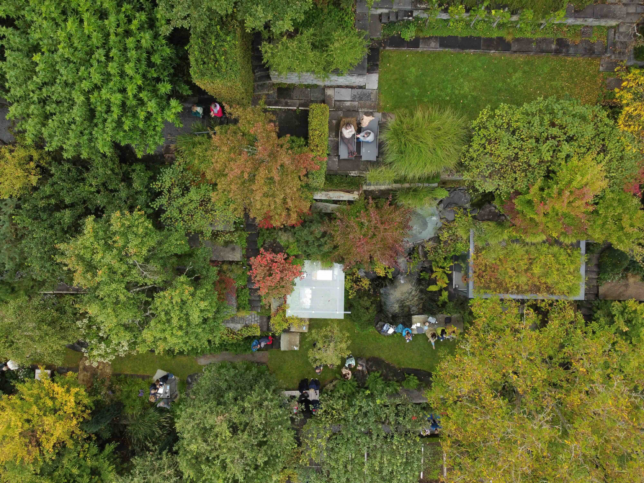 DAS AHRTAL ERBLÜHT, DAS AHRTAL ERBLÜHT DCIM100MEDIADJI_0626.JPG