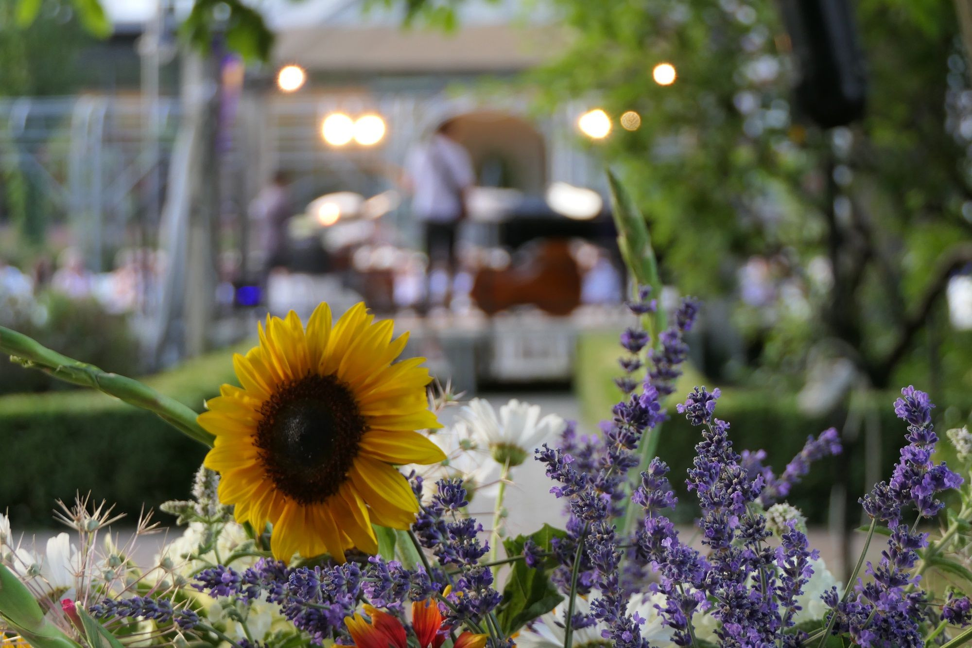 Spanische Saiten, Spanische Saiten