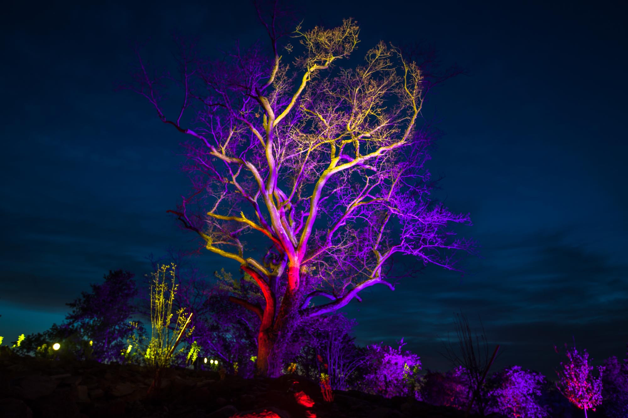 rheinleuchten, rheinleuchten