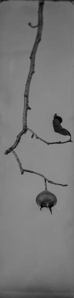 Kunsttage Winningen, Kunsttage Winningen