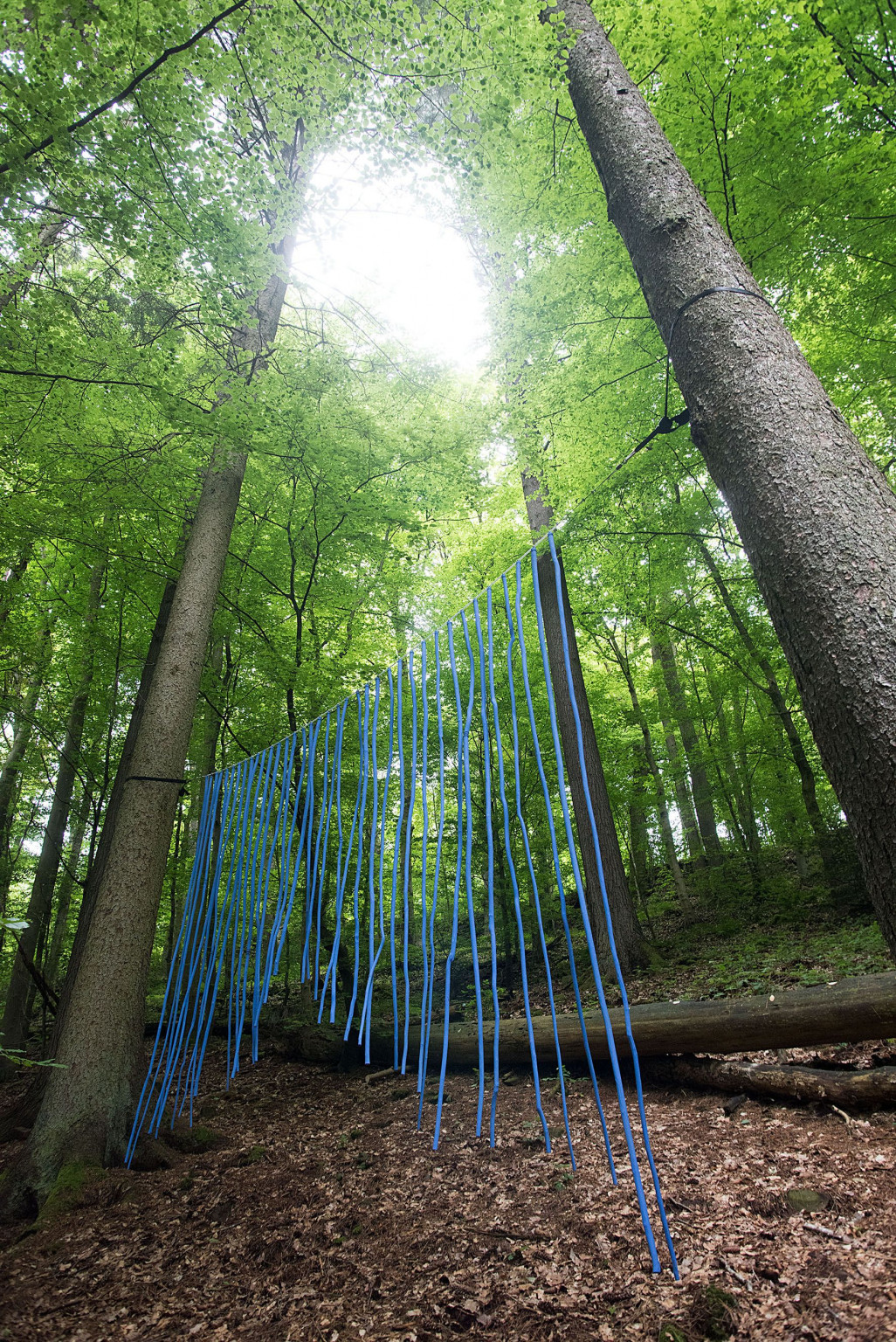 Kunstroute Kyllburg, Kunstroute Kyllburg Installation von Ben Hirz aus Malbergweich, Kurpark Hahn, Kyllburg, 23.05.2023