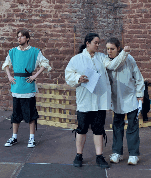 Shakespeares sämtliche Werke (leicht gekürzt), Shakespeares sämtliche Werke (leicht gekürzt)